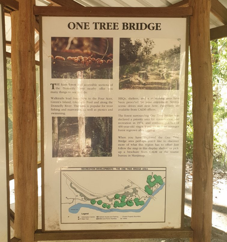 One Tree Bridge景点图片