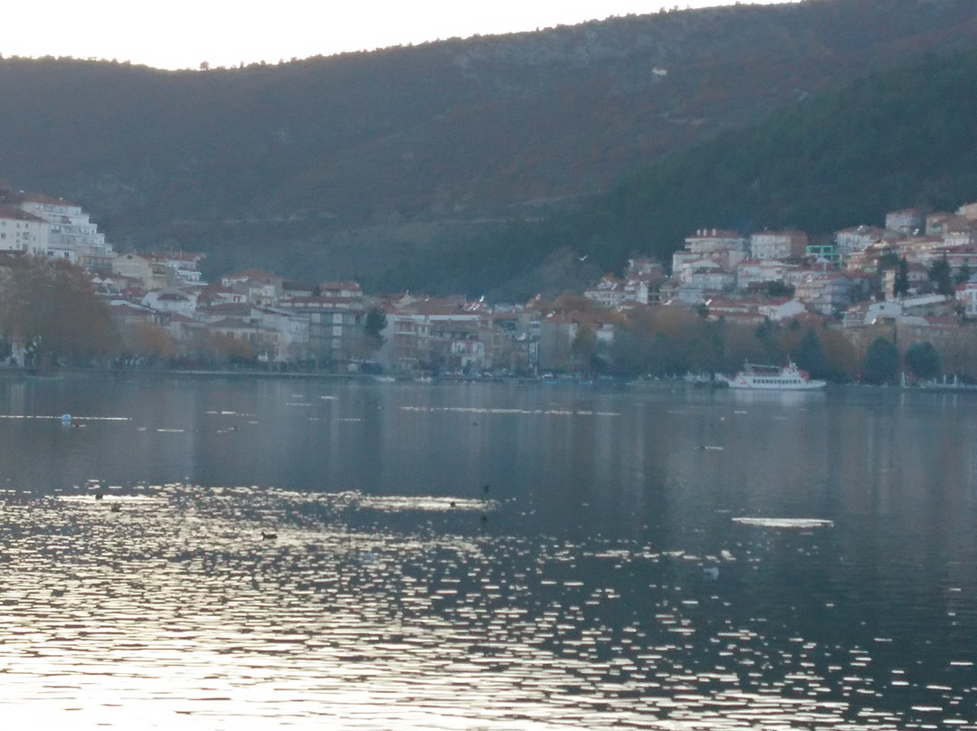 卡斯托里亚酒店主图