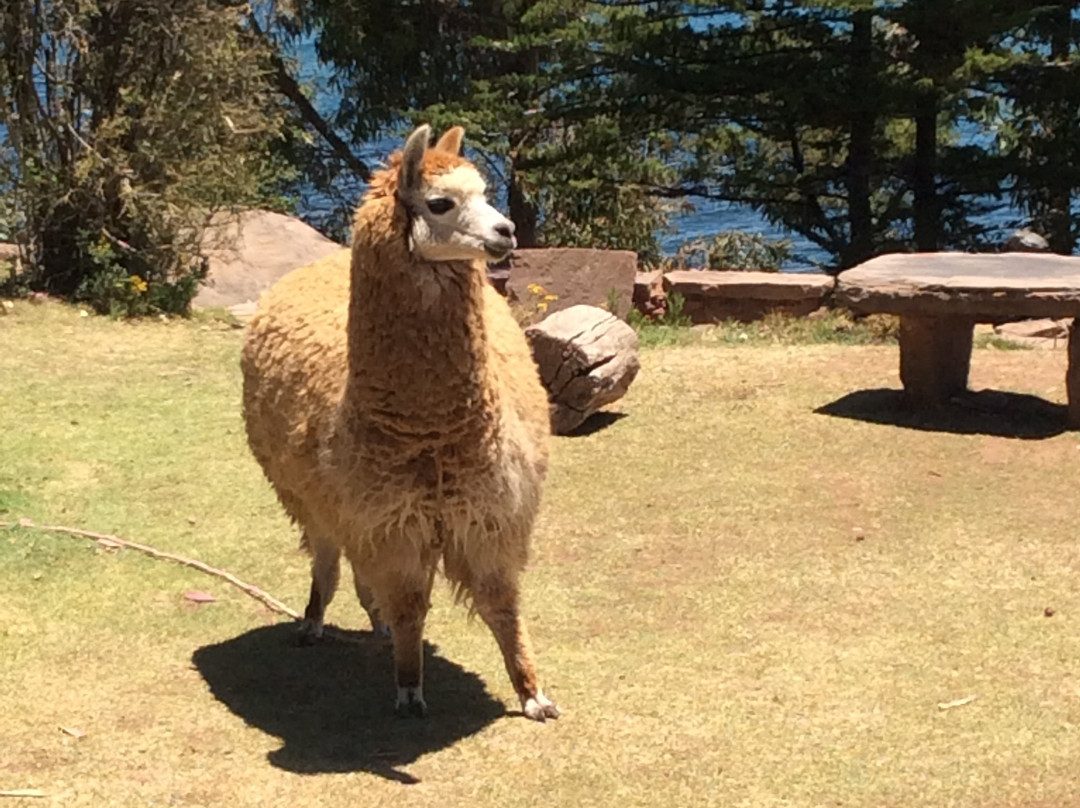 Casa De Valentin主图