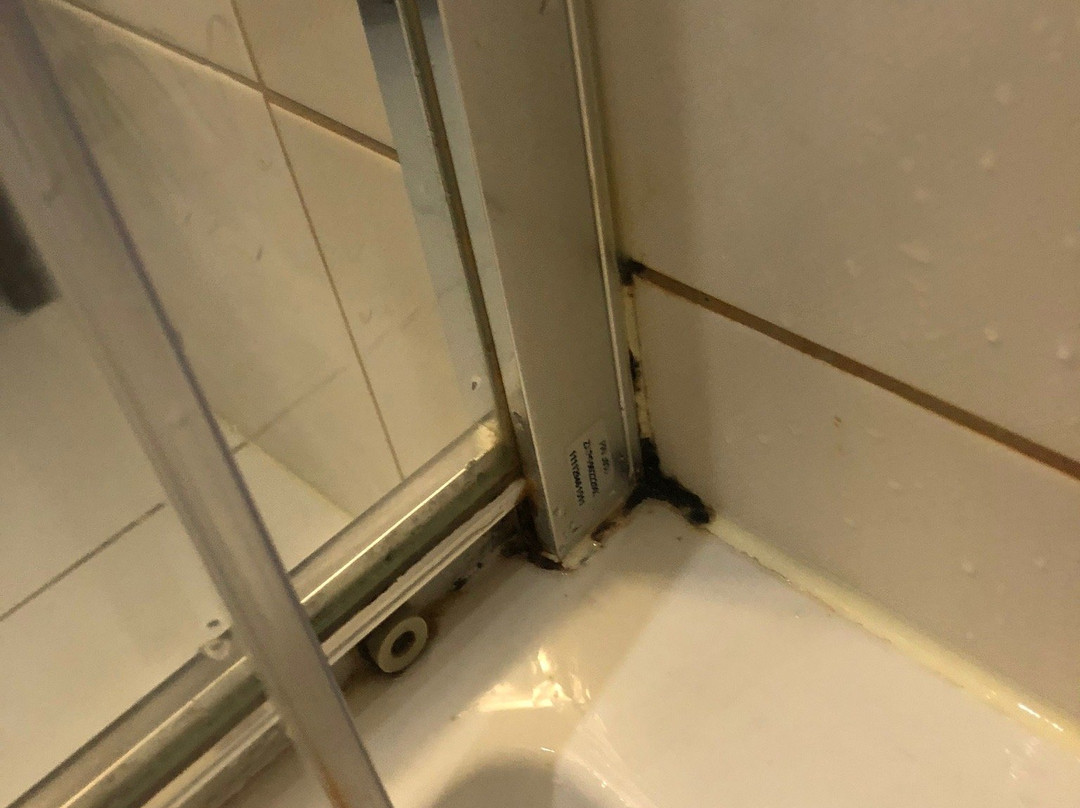 Hotel Trzebnica主图