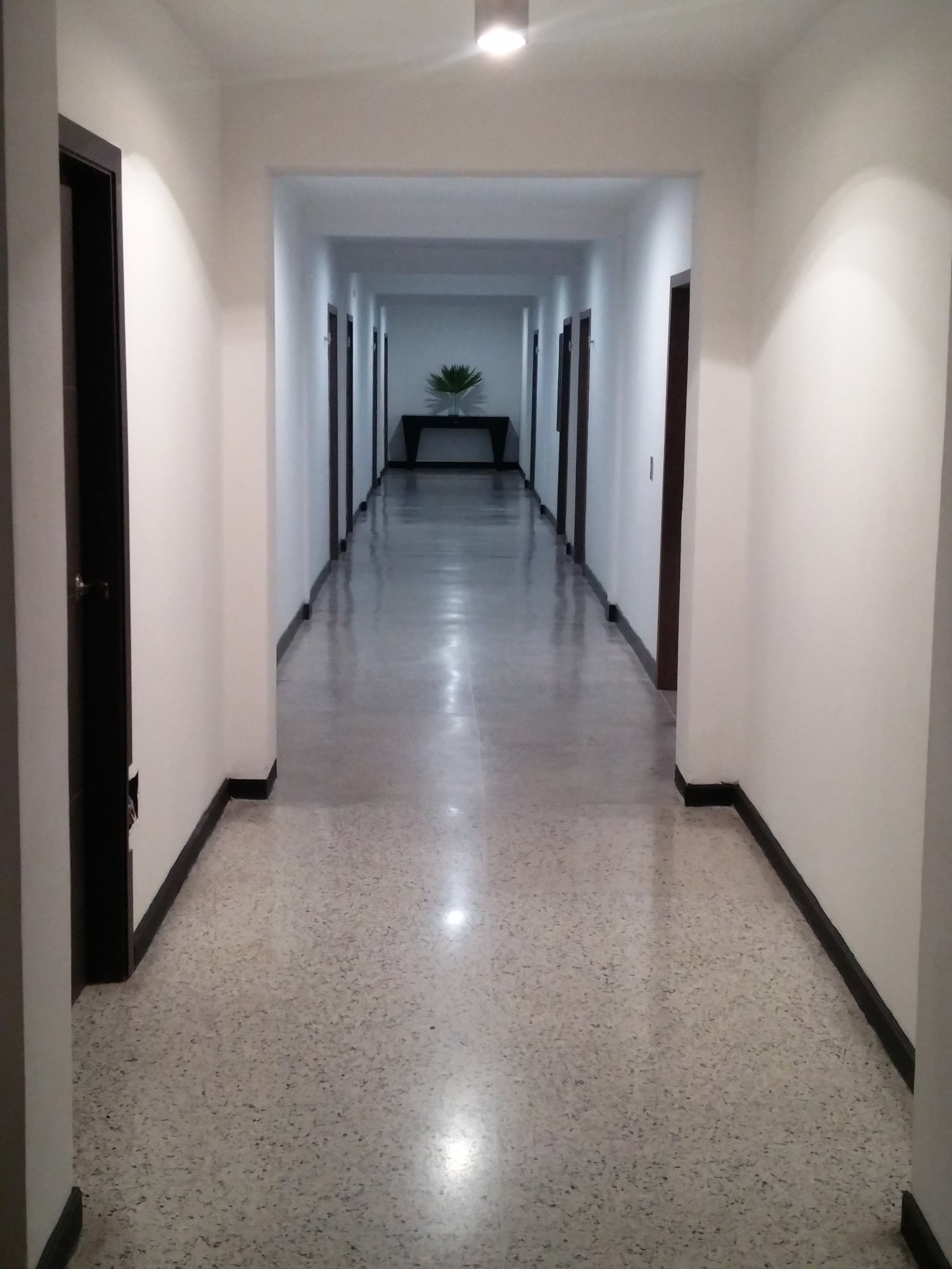Bari Hotel-官方