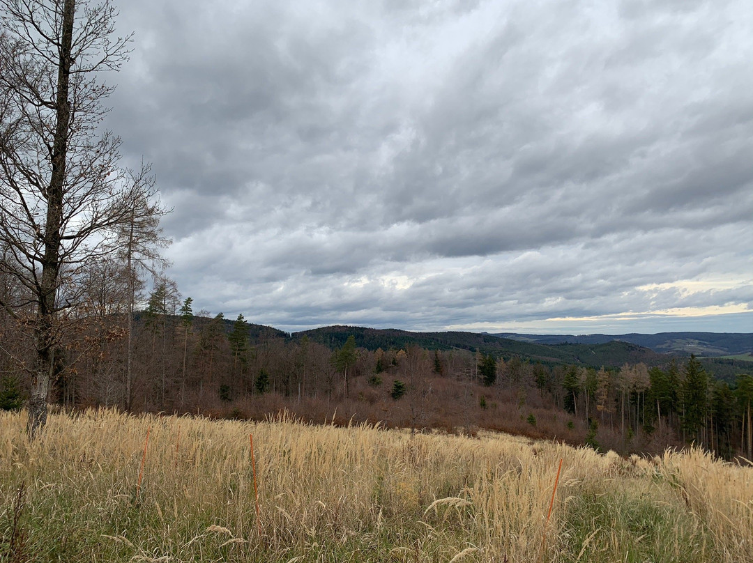 Naturpark Landseer Berge-Oberpullendorf必去景点
