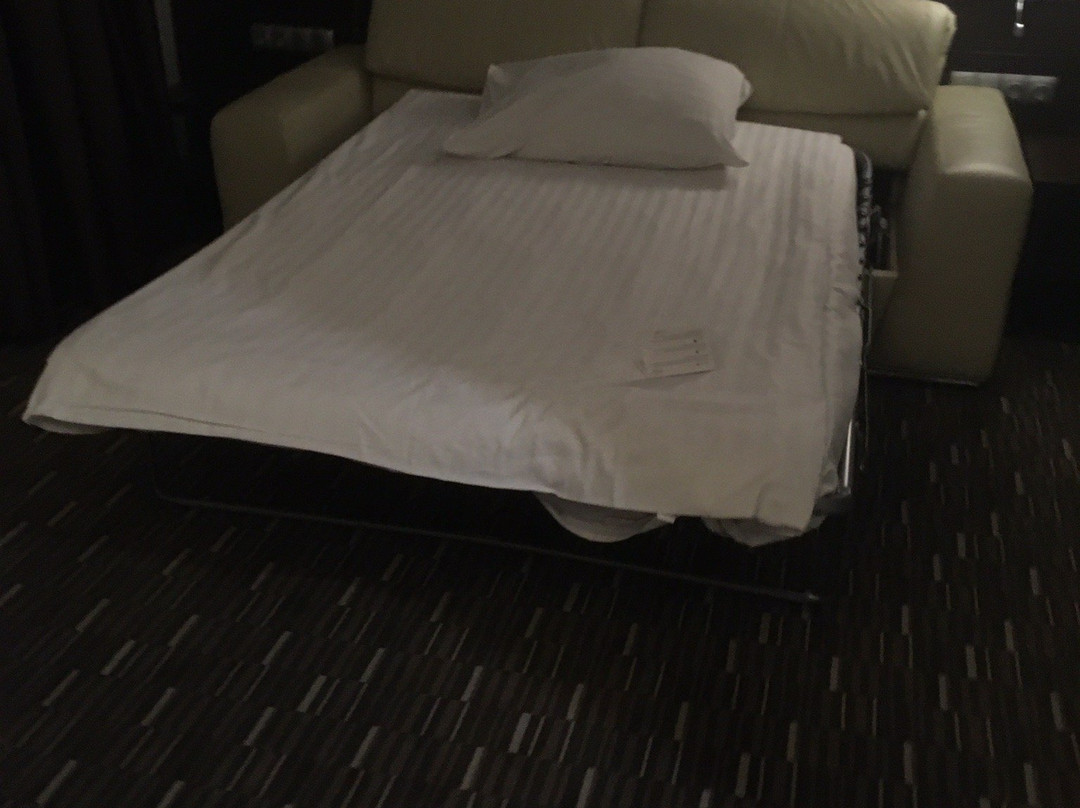 Park Hotel Diament Zabrze主图