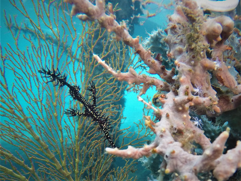 Mawali旅游攻略图片