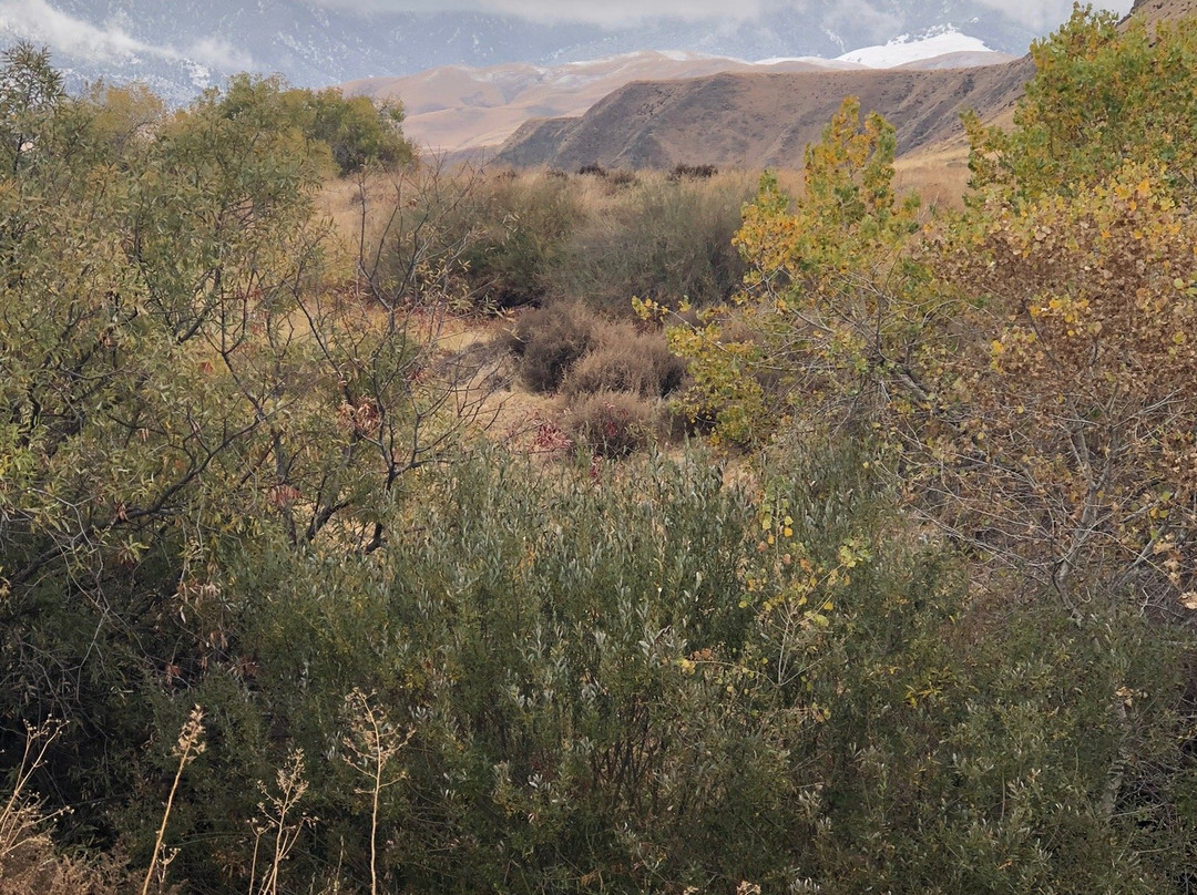 Wind Wolves Preserve-贝克斯菲尔德必去景点