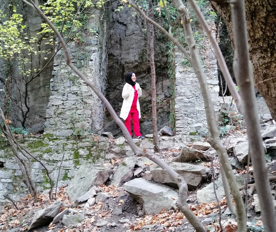 Hasanboguldu Selalesi-Zeytinli必去景点