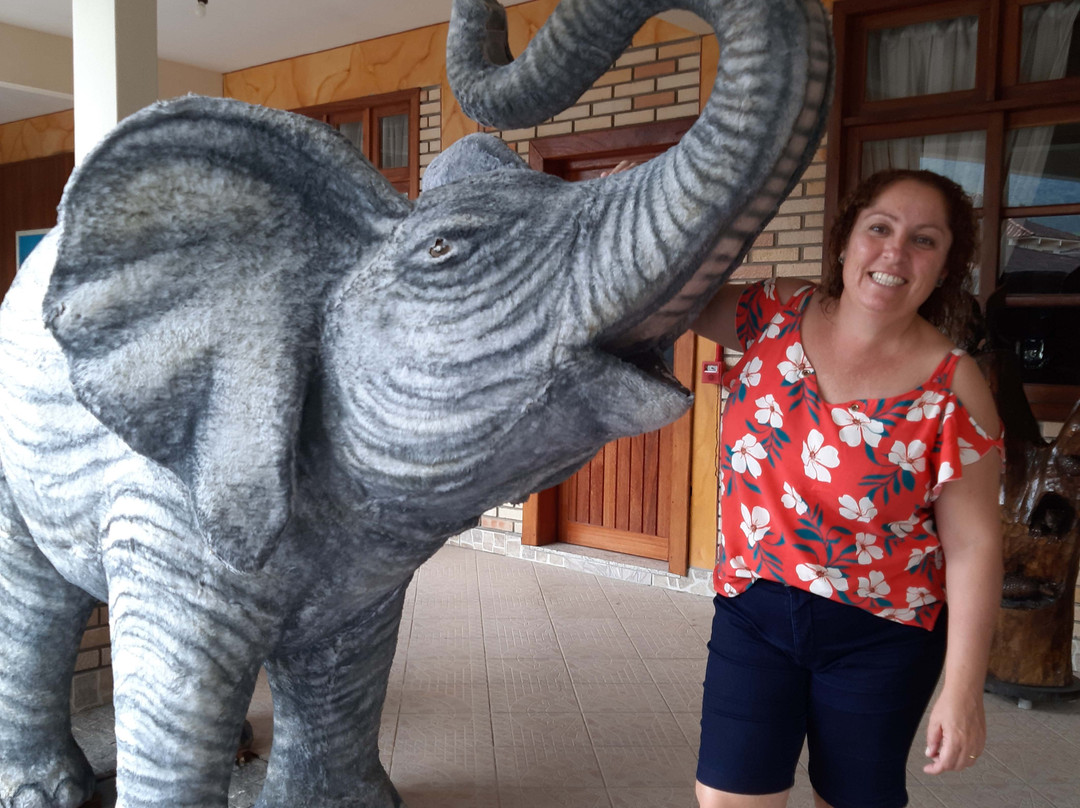 Pousada Cantina Italiana主图