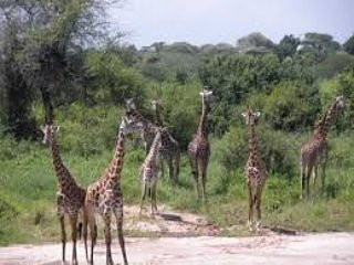 Wakawaka Adventures-卡拉图必去景点