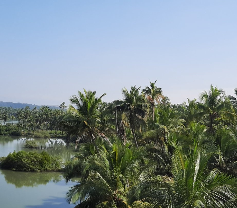 Kadalundi River Tourism景点图片