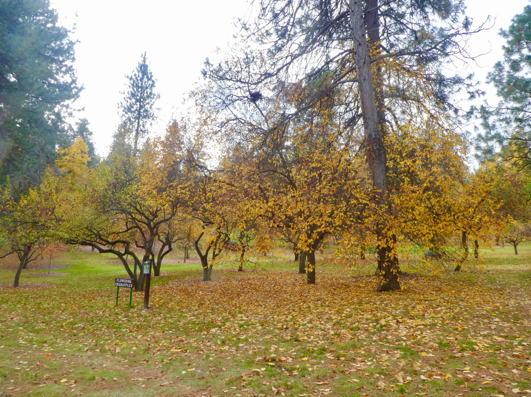John A. Finch Arboretum景点图片