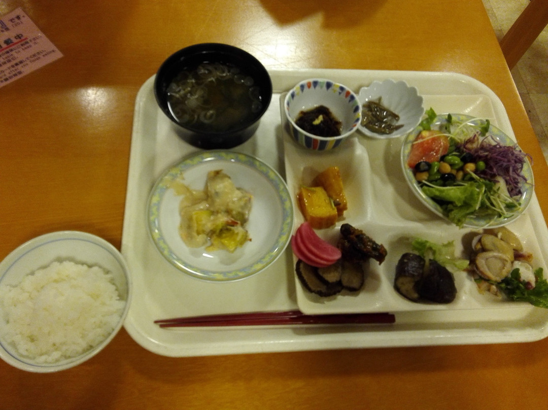 Shintamagawa Onsen主图