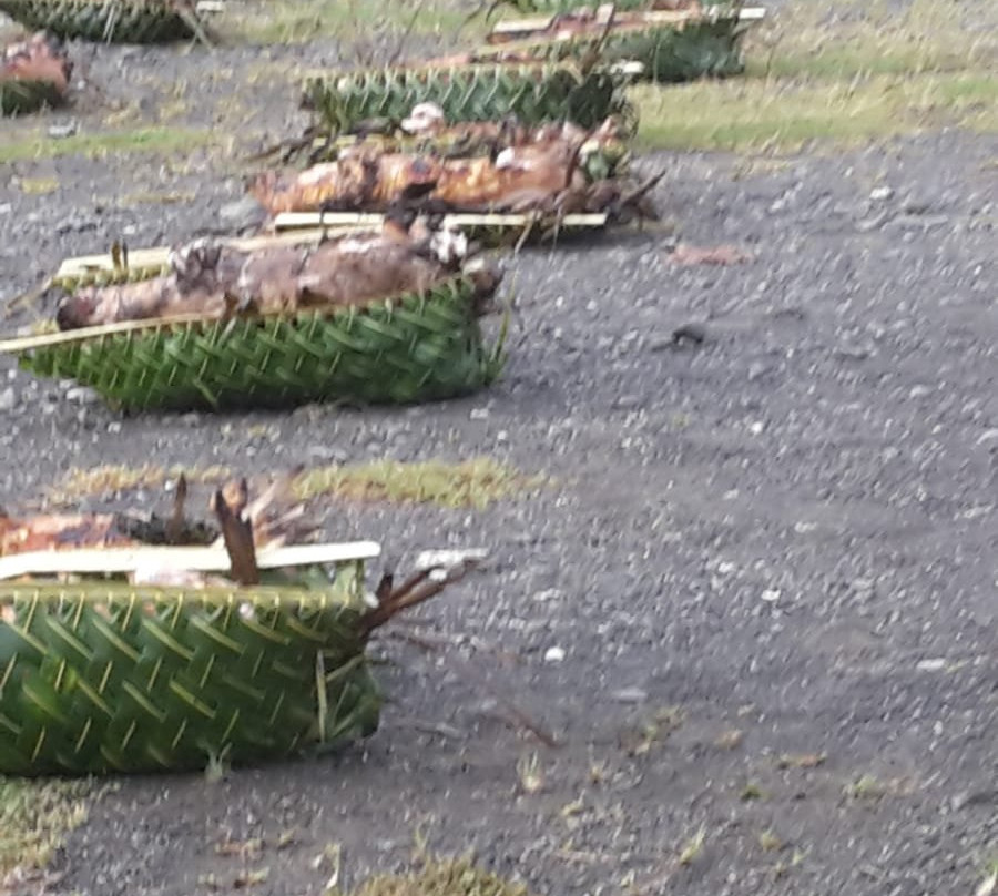 Eglise De La Sainte Famille-Futuna Island必去景点
