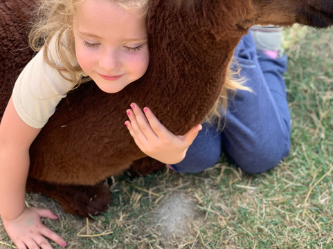 Alpaki Roztocze-Zaburze必去景点