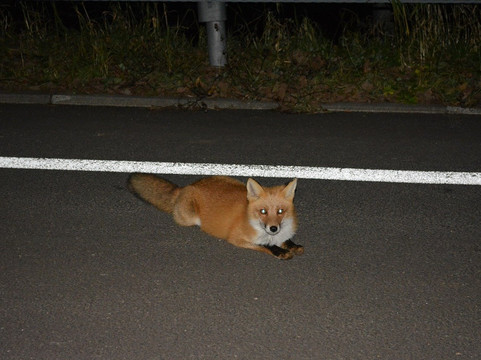 Poroto Swamp-滨中町必去景点