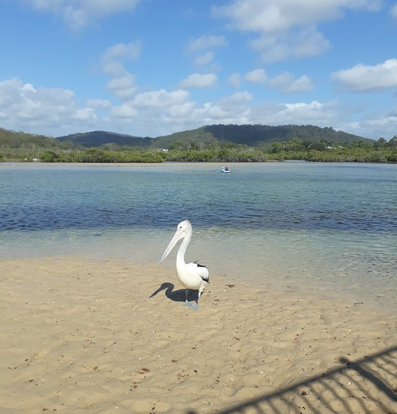 Hastings Point Headland景点图片