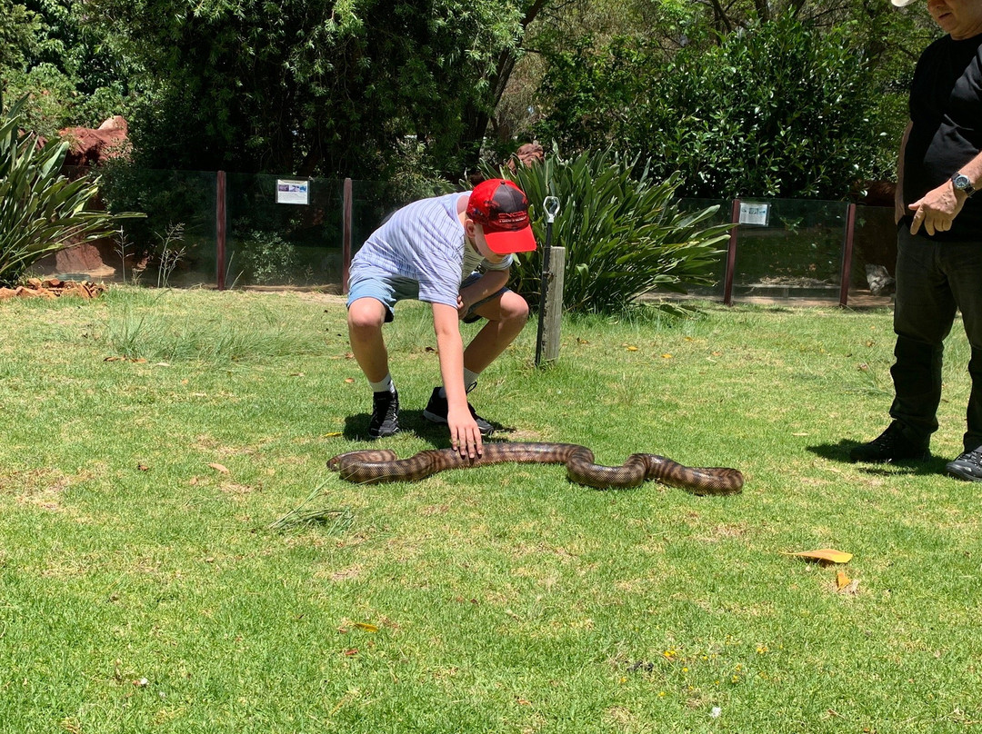 Armadale Reptile Centre景点图片