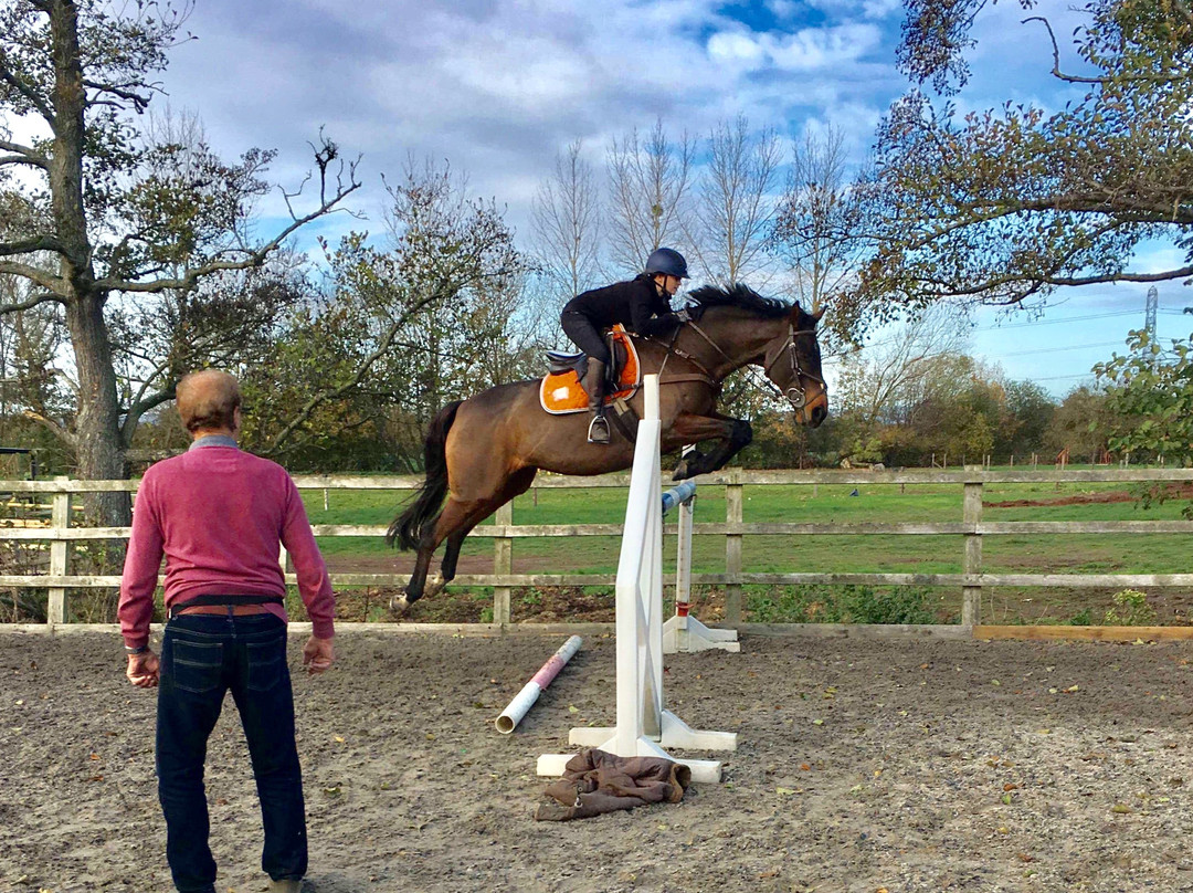 Mill House Equestrian Centre景点图片