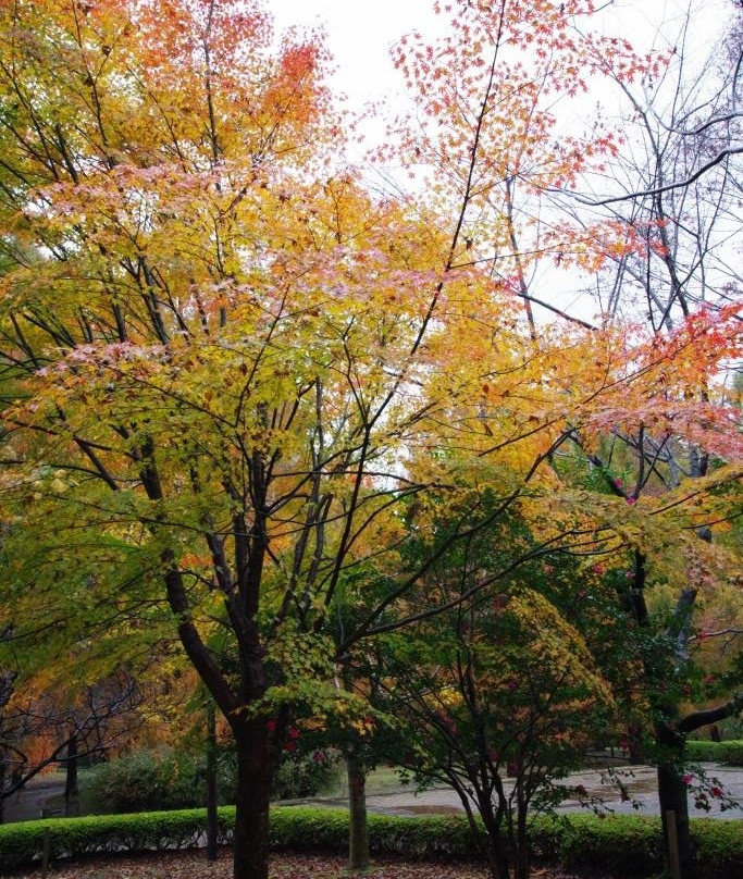 Nagaoka Park-宇都宫市必去景点