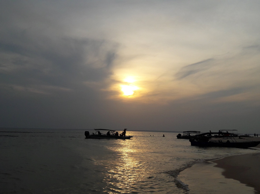Ponta do Cururu-Alter do Chao必去景点
