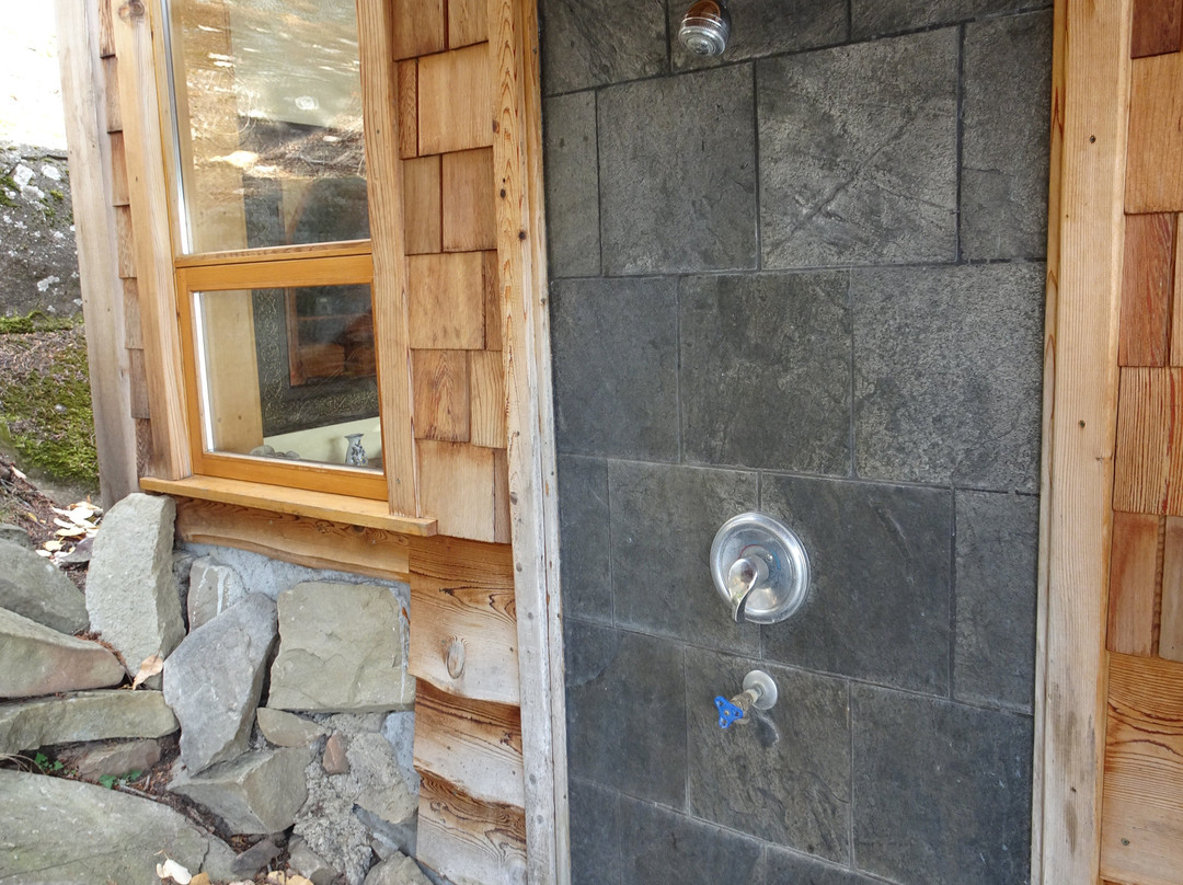 Treehouse Bed & Breakfast主图