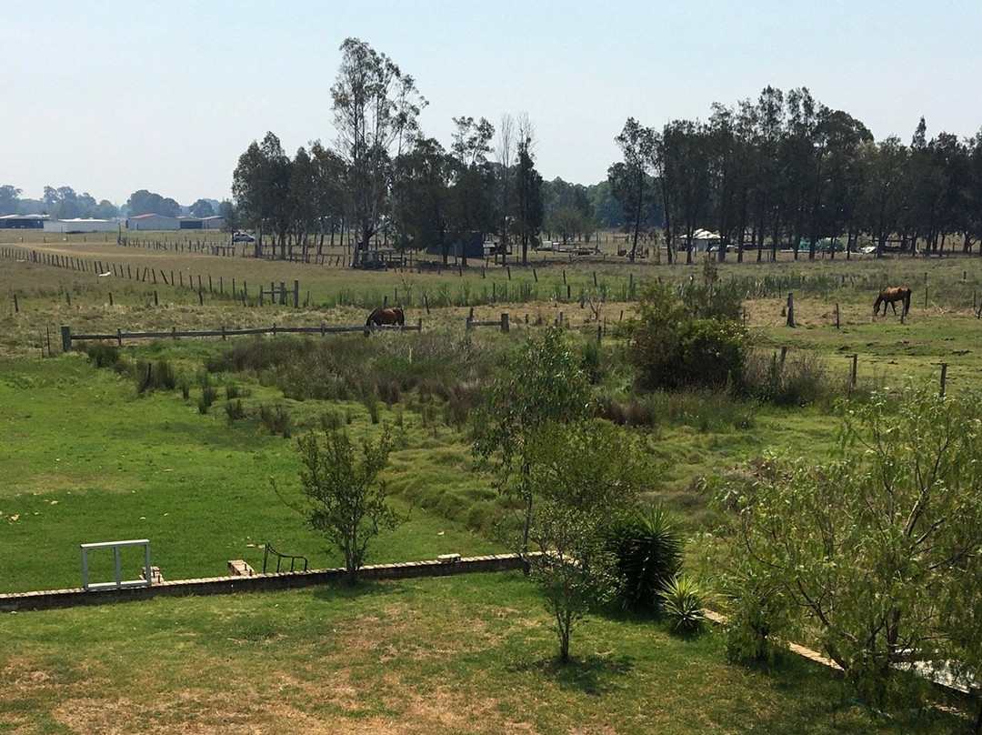 Andavine House Bed & Breakfast主图