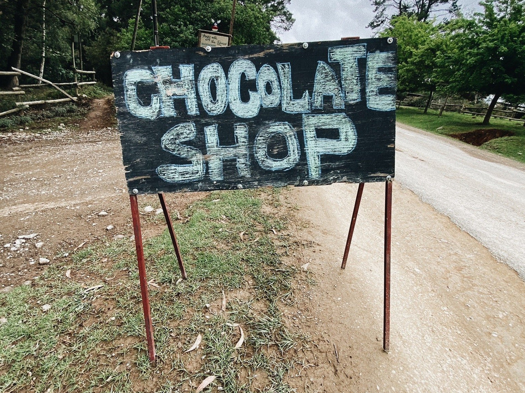 The Chocolate Shop景点图片