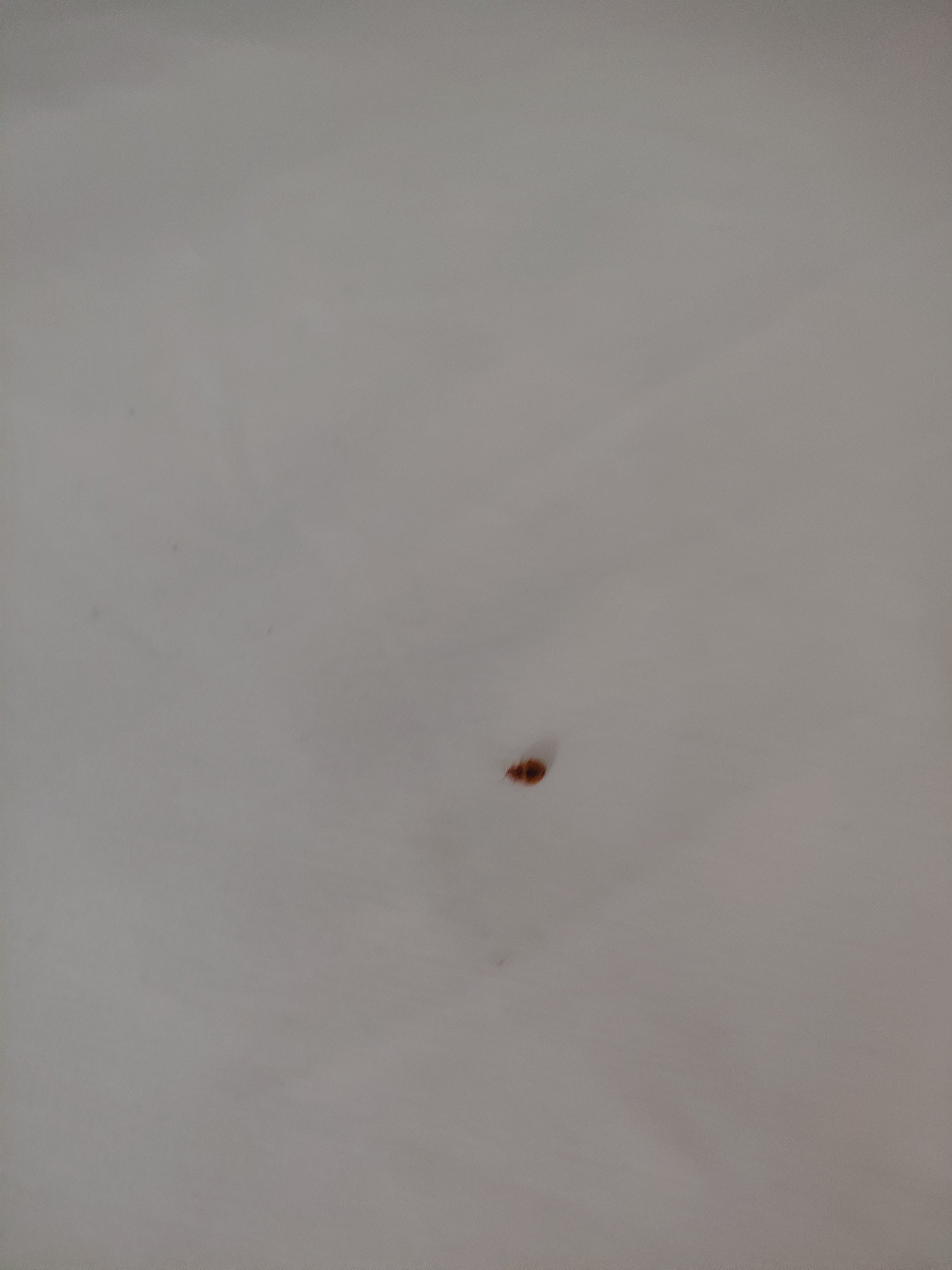 Holiday Inn Express Dandridge by IHG-portrait