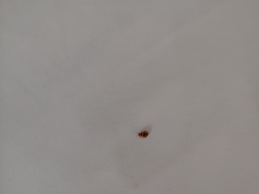 Holiday Inn Express Dandridge by IHG主图