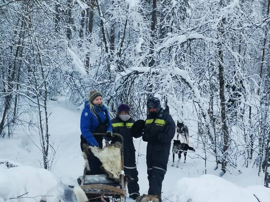 Stengelsen husky-阿尔塔必去景点