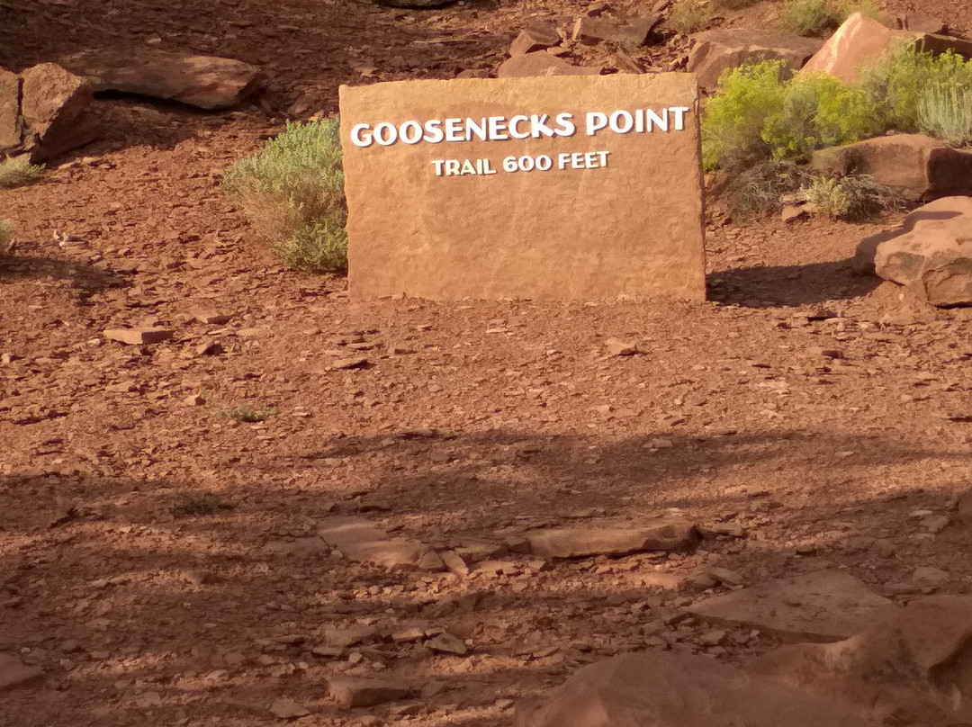 Goosenecks Overlook-圆顶礁国家公园必去景点