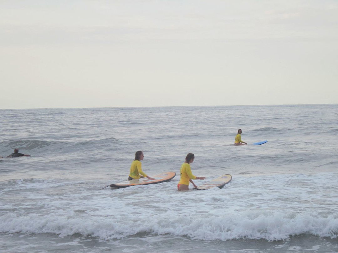 All Good Surf景点图片