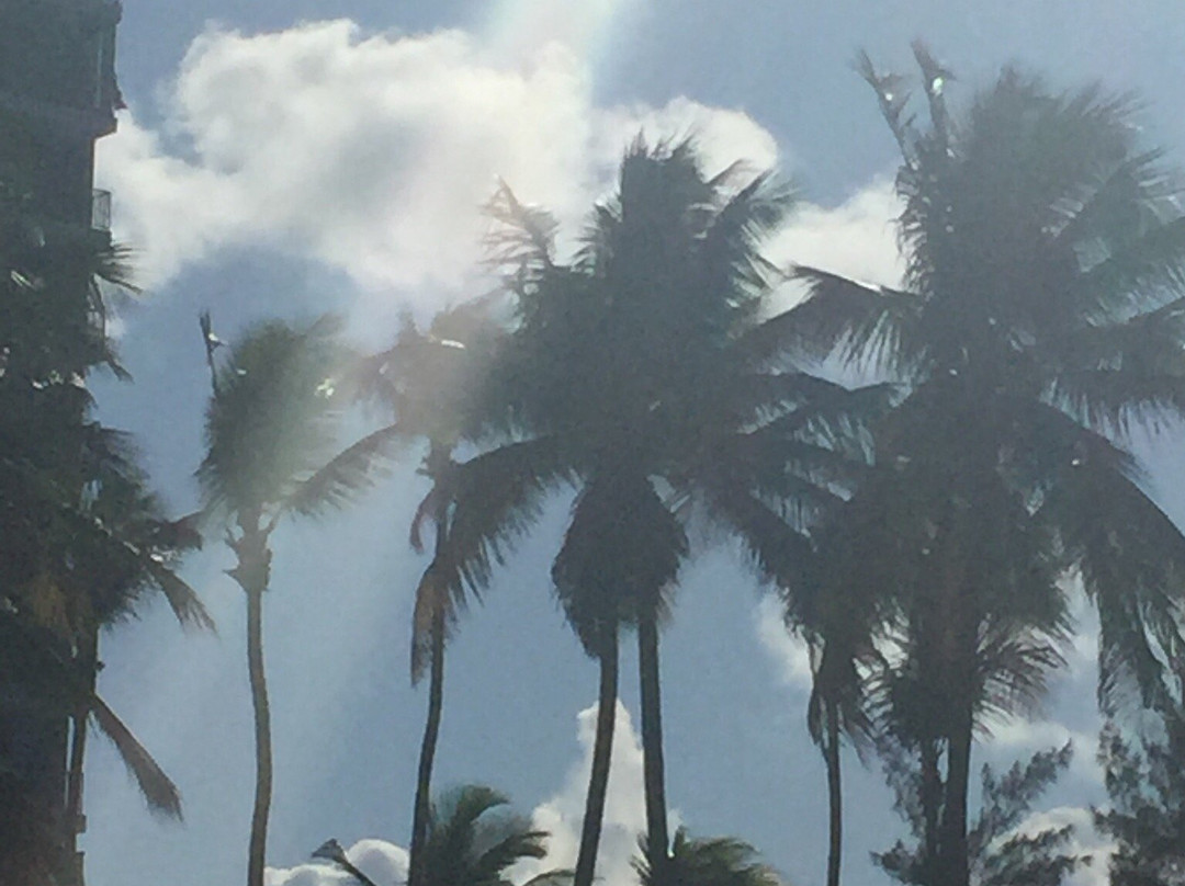 Balneario Isla Verde (Playa el Alambique)-卡罗来纳必去景点