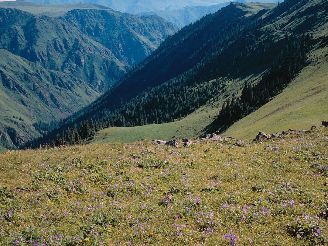 Turgenskoye Gorge-Turgen必去景点