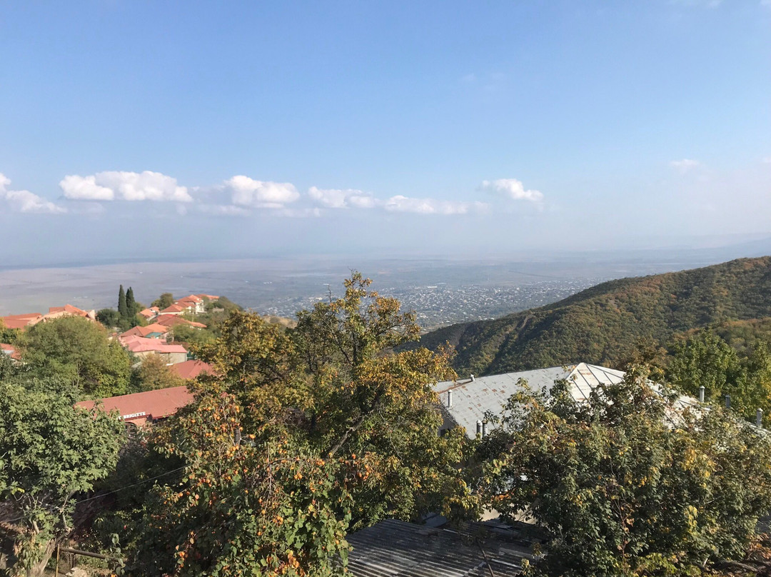 Guest House Evdoshvili 5主图