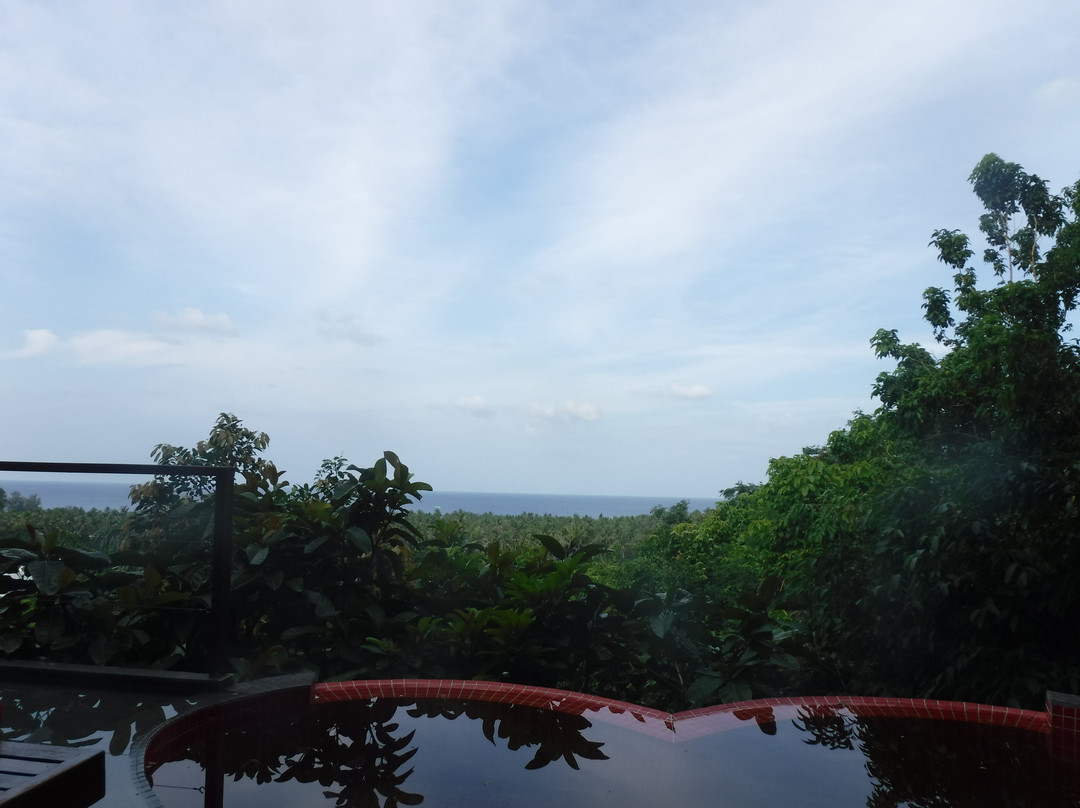 帕里斯奢华精品别墅主图