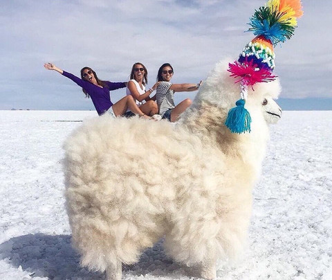 Peru Best Price-利马必去景点