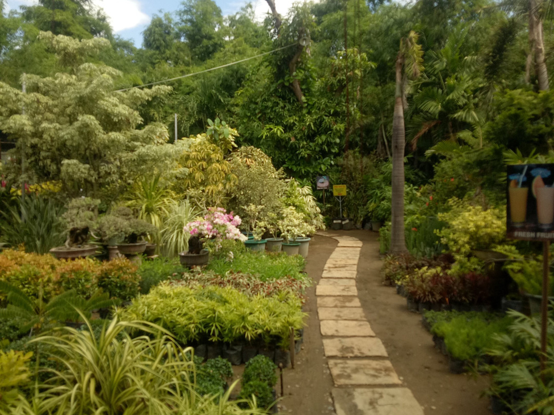 Hidden Garden景点图片