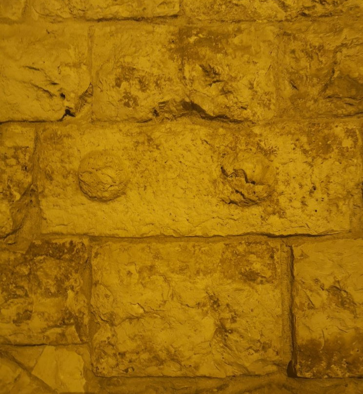 Museo Nazionale Archeologico di Gioia del Colle-Gioia del Colle必去景点