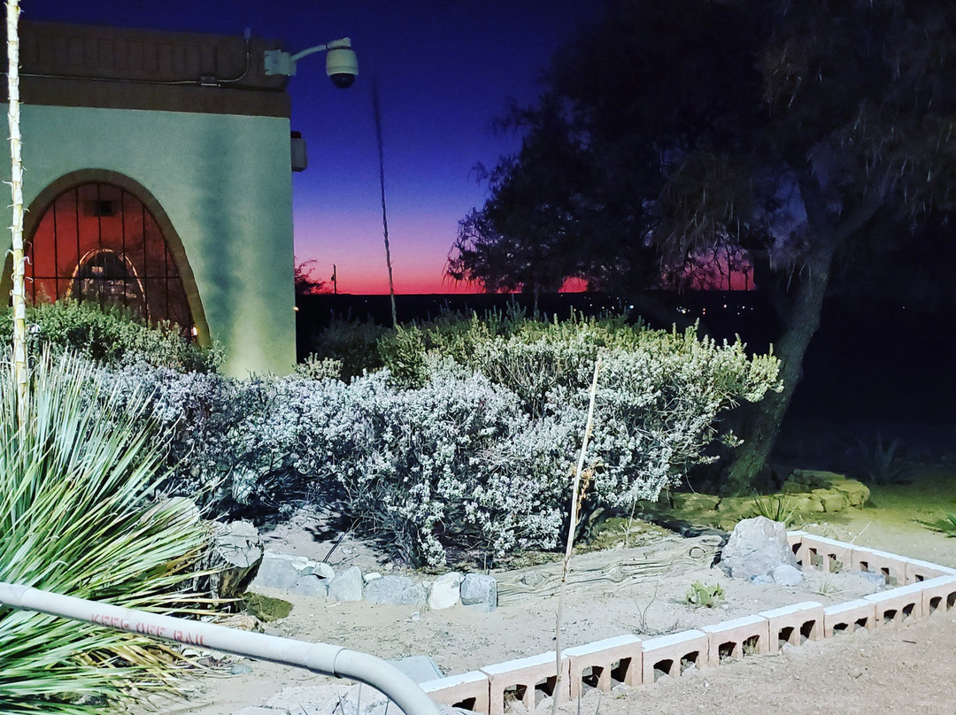 Comfort Inn & Suites Las Cruces Mesilla主图