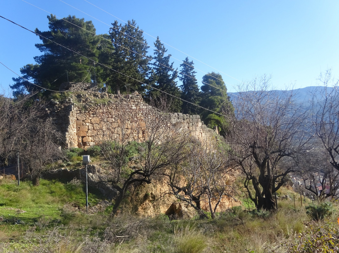 Salona Castle景点图片
