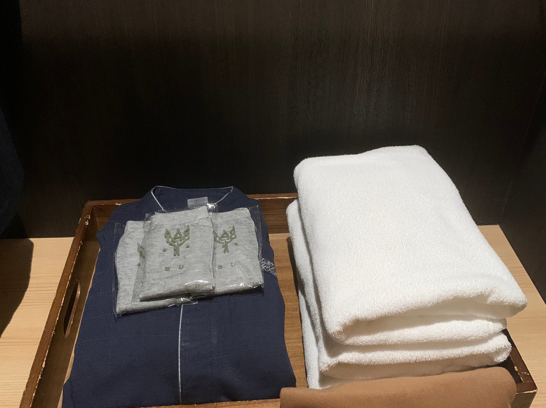 星野集团奥入濑溪流酒店主图