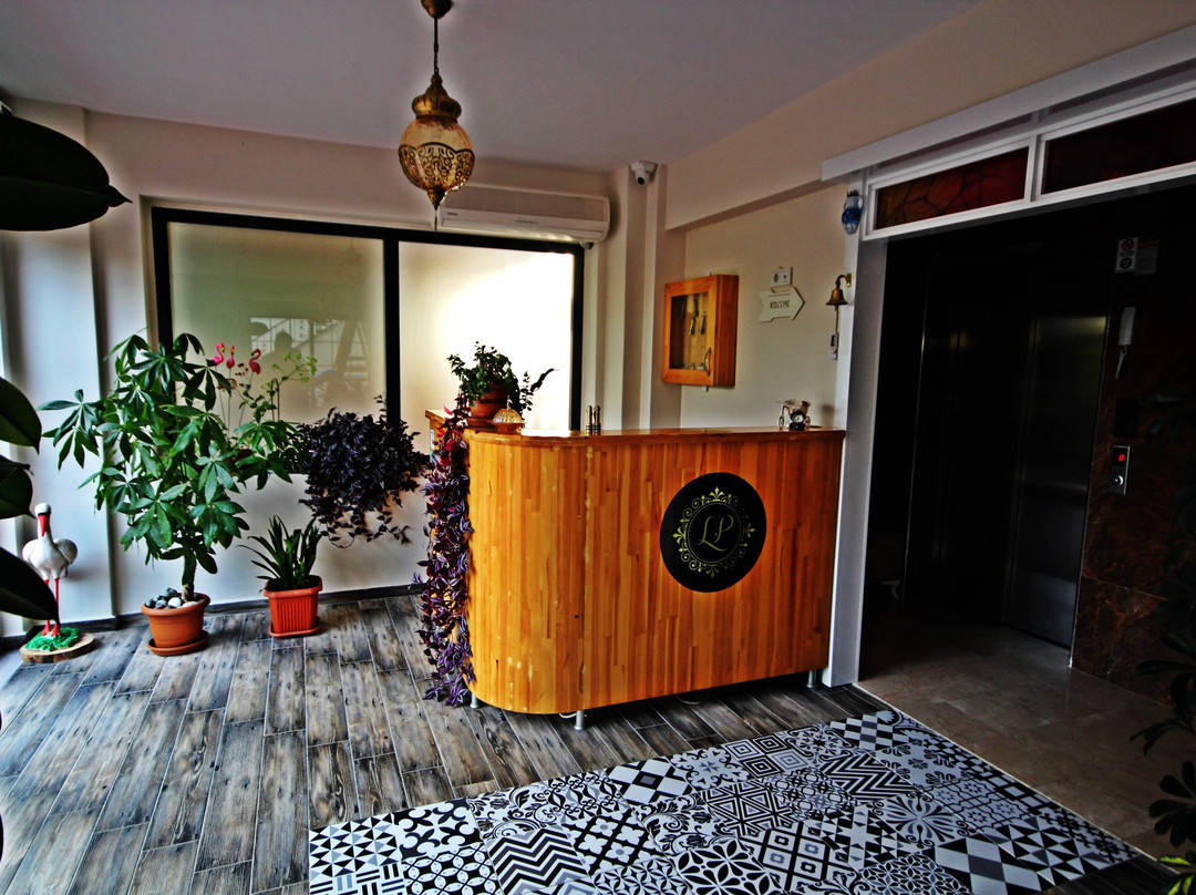 LP Lagun Palas主图