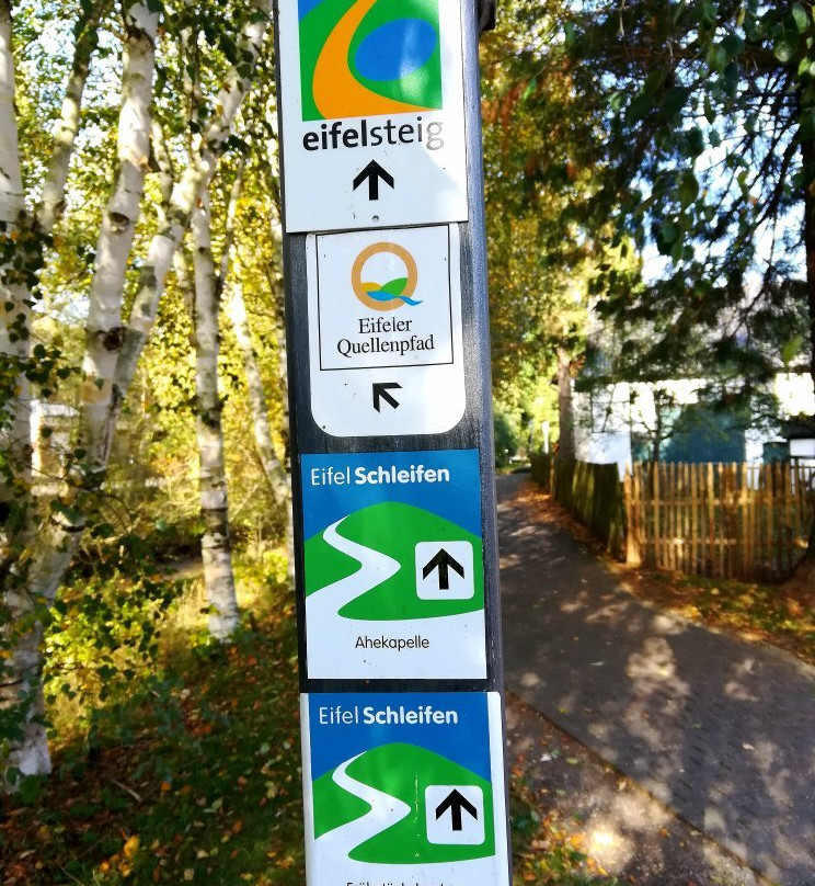 Naturzentrum Eifel景点图片