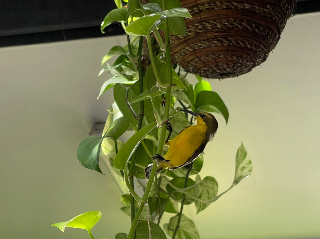 Coffee & Cake Agnes Water