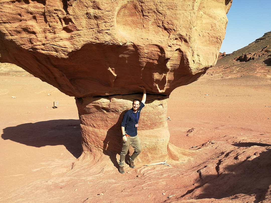 Javier Sternfeld - Tour Guide-特拉维夫必去景点