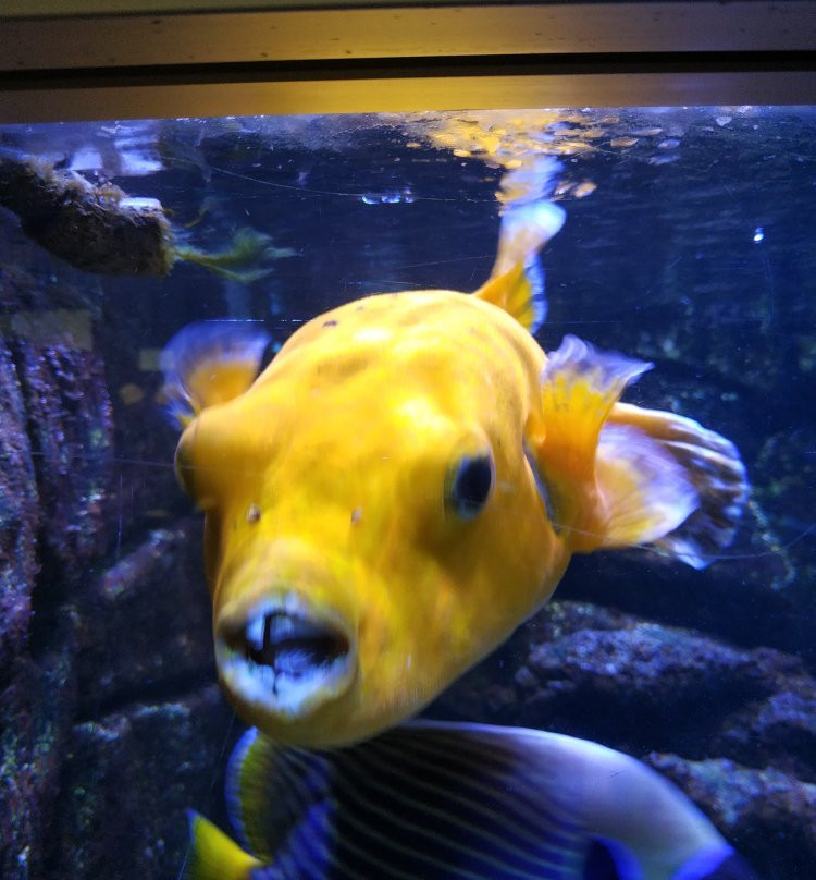 Aquarium de Dunkerque-敦克尔克必去景点