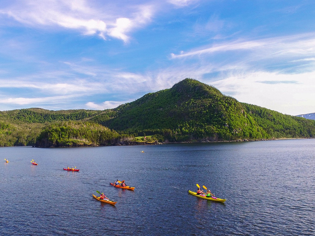 Gros Morne Adventures Day Trips景点图片