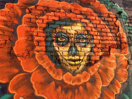 Bar HOA-曼萨尼约必去景点