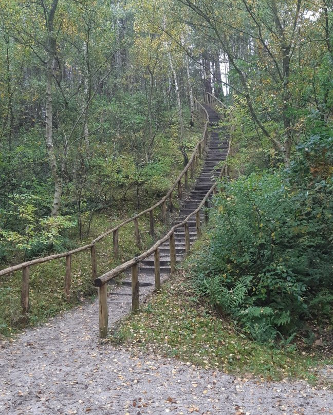 Buitencentrum Schoorlse Duinen Schoorl景点图片