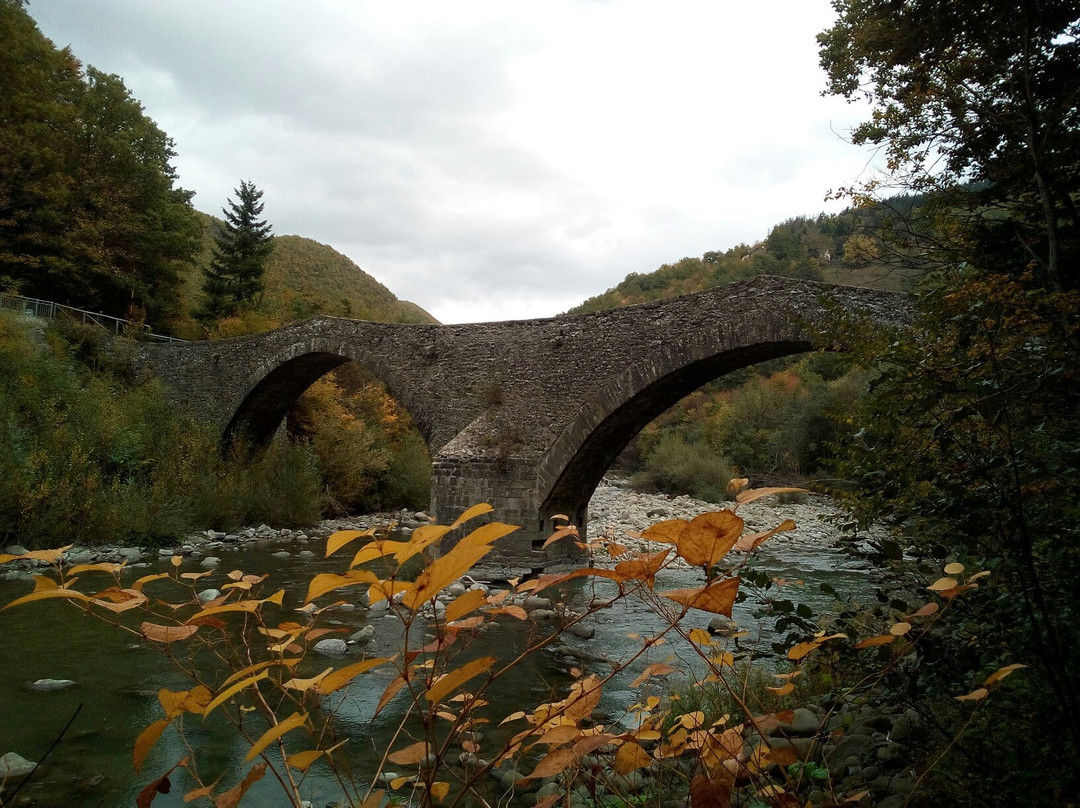 Ponte della Fola景点图片